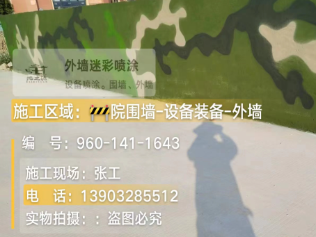 湛江 迷彩漆喷涂价格（按平方米计费）