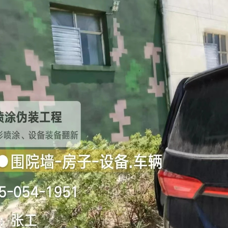 湛江数码迷彩漆施工